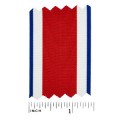 C.A.R. National Officer Neck Ribbon