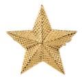 American Gold Star Mothers Single Star Pin