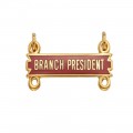 NLAPW Branch President Bar
