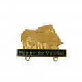 NSDOAF Member for Member Pin