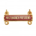 NLAPW Past Branch President Bar