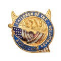 C.A.R. Recognition Pin 