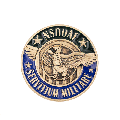 *NEW NSDOAF Military Service Pin