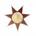 DIW Recognition Pin